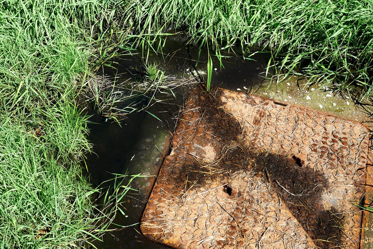 Sewage leaking through manhole cover in Shannonvale public park